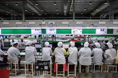 苹果印度工厂遭暴力打砸，纬创澄清与业务培训问题引发反思